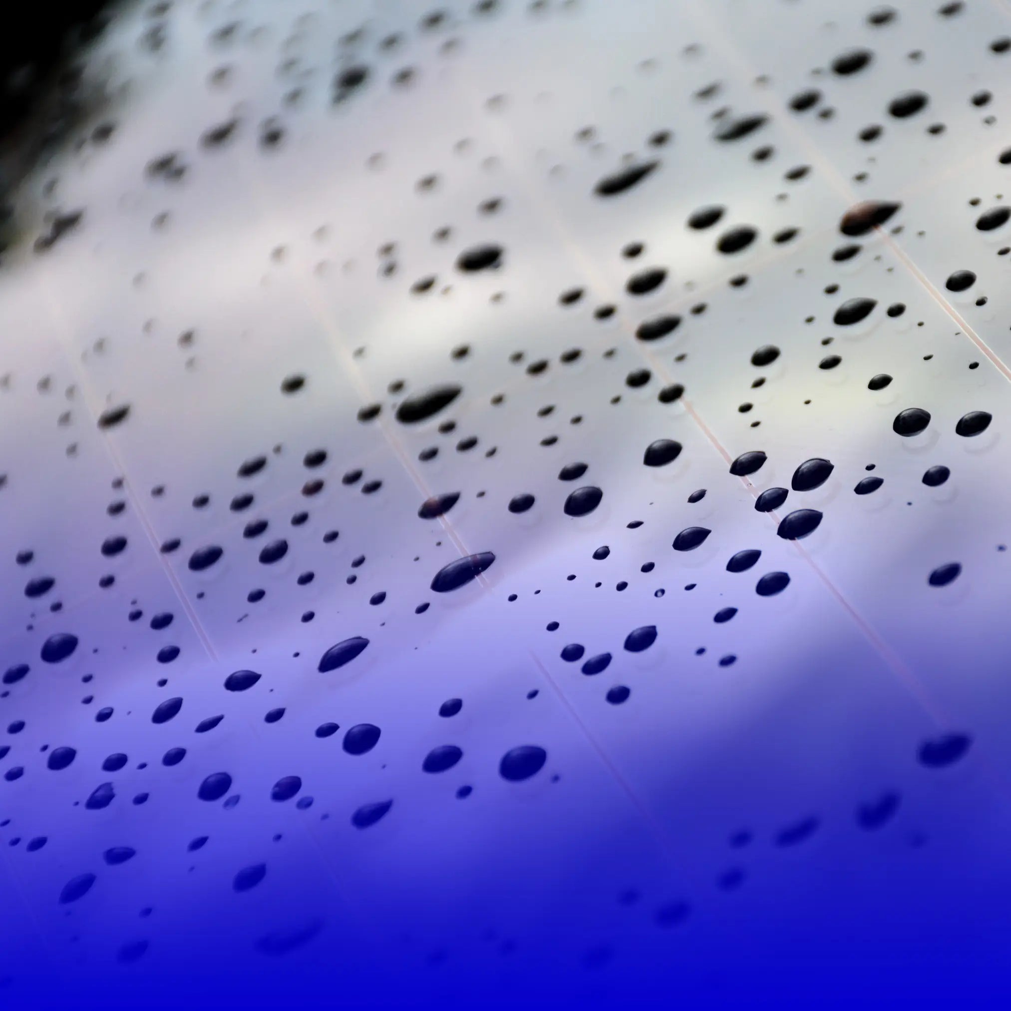 Fenster- und Glaspflege